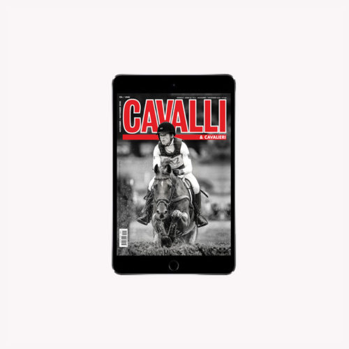 November 2020 - Digital Edition