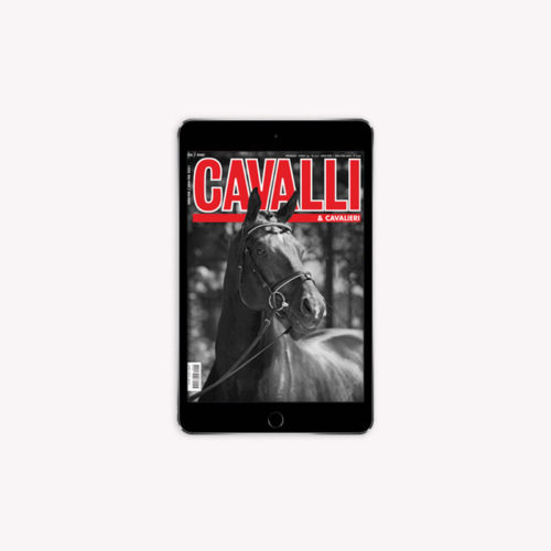January / February 2021 - Digital Edition