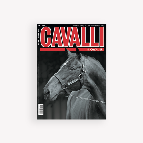 March/April 2022 - Print Edition