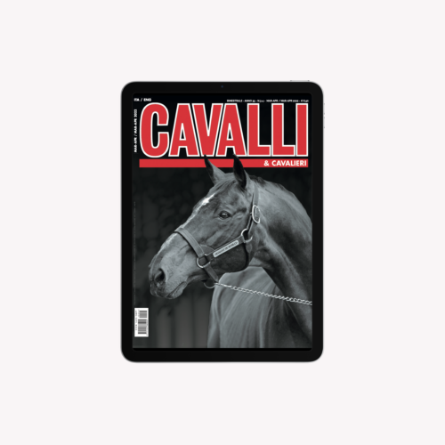 March/ April 2022 – Digital Edition