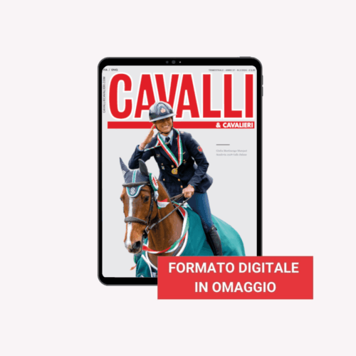 Marzo Aprile 2024 – formato digitale